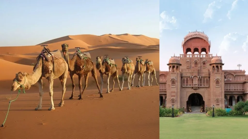 Bikaner - Rajasthan