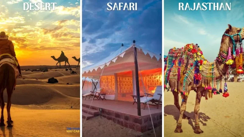 Best Desert Safari in Rajasthan 2026