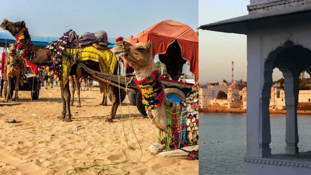 Pushkar - Rajasthan