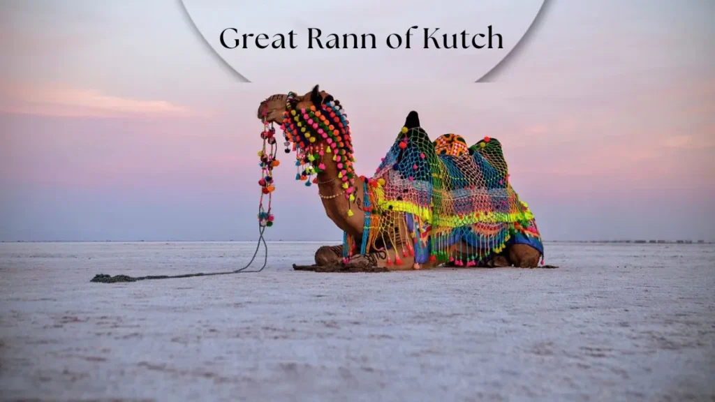 The Great Rann of Kutch