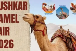 Pushkar Camel Fair 2026