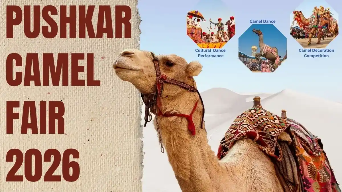 Pushkar Camel Fair 2026