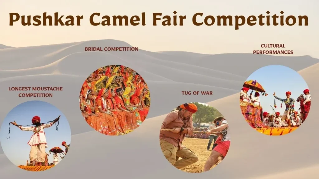 Pushkar Camel Fair Competitions 