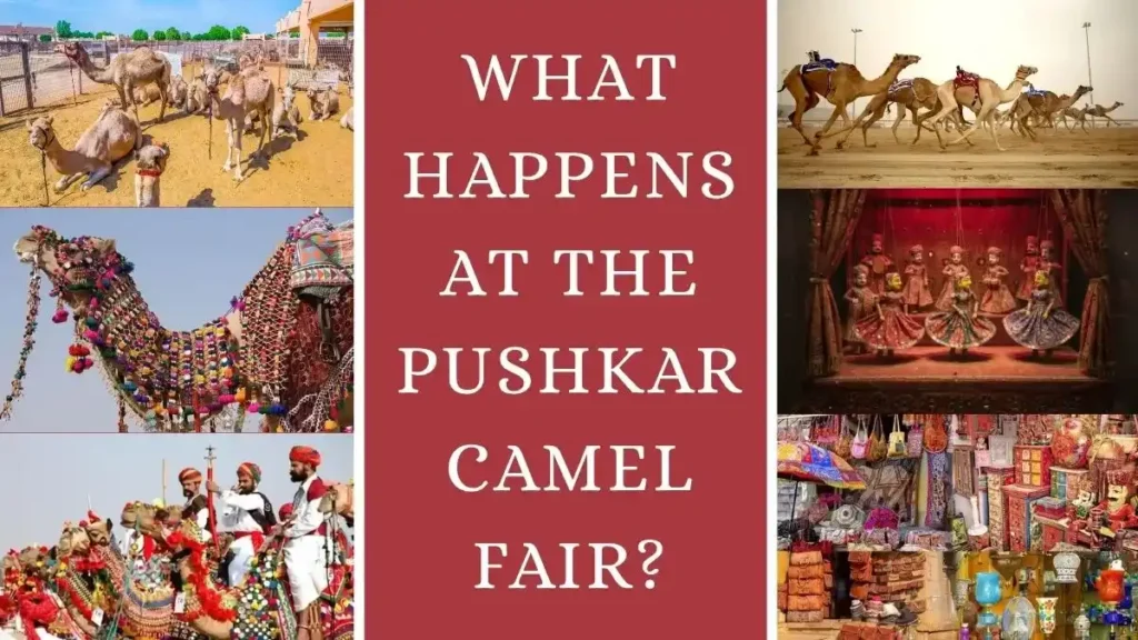 What Happens at the Pushkar Camel Fair?