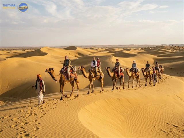 Camel Safari
