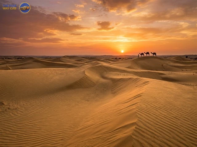 Osian Overnight Stay Desert Village Homestay With Camel & Jeep Safari